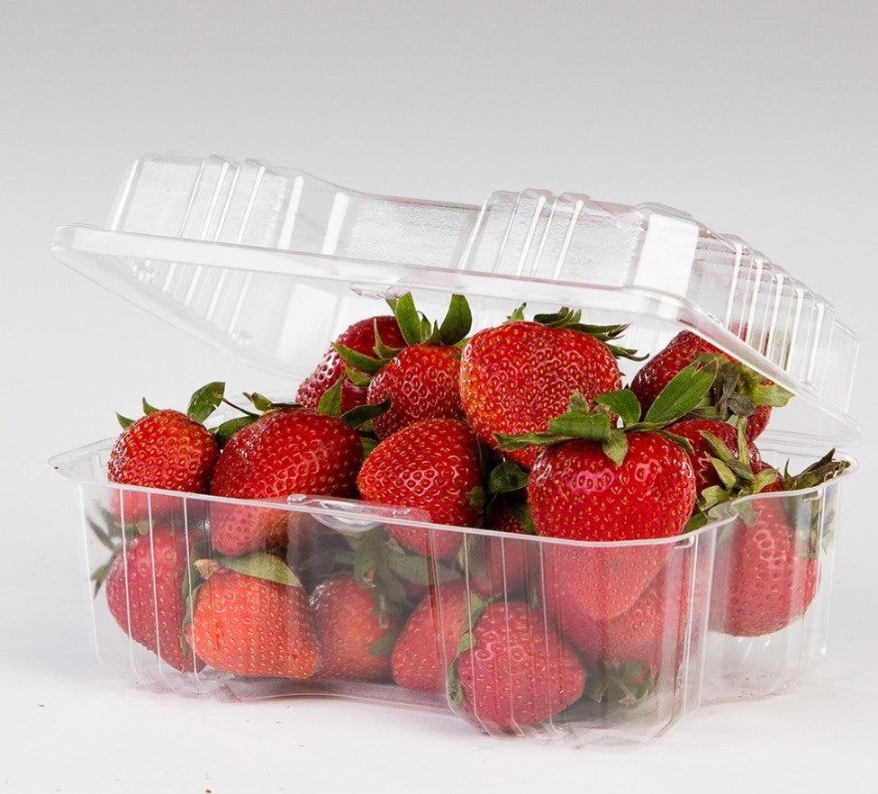 Clear container with a fitted lid
